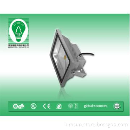 LED Flood light for indoor/outdoor lighting
